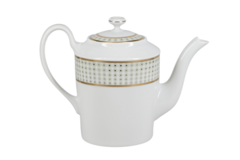 Royal Limoges Galaxie Coffee Pot
