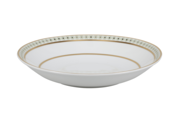 Royal Limoges Galaxie Salad/Pasta Plate
