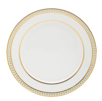 Royal Limoges Galaxie Dinner Plate