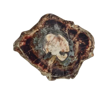 Kim Seybert Fossil Placemat - Set of 4