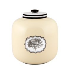 Christian Lacroix Herbariae Timor Box 7.6'h x 6.8"W