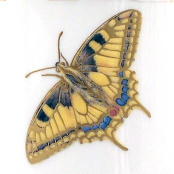 Pickard China Wind & Wings 2-Swallowtail Dinner Plate - Image 2