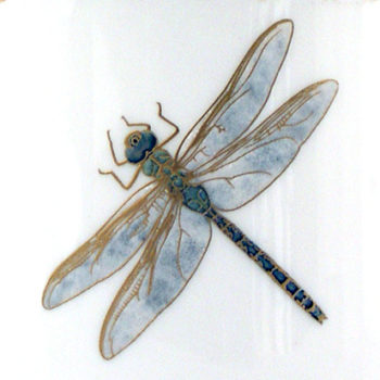 Pickard China Wind & Wings 5-Darner Dinner Plate 10.25" D - Image 2