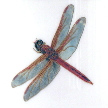 Pickard China Wind & Wings 6-Meadowhawk Dinner Plate 10.25" D - Image 2