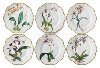 Pinto Paris Histoiries D'Orchidees Dinner Plates - Set of 6