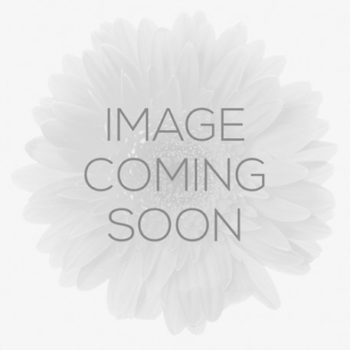 Deshoulieres Excellence Grey Breakfast Cup - Image 2
