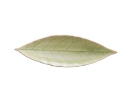 Costa Nova Riviera Vert Frais 7" Laurel Leaf