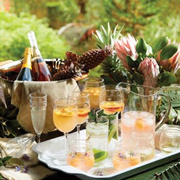 Juliska Isabella Acrylic Champagne Flute 8 oz
