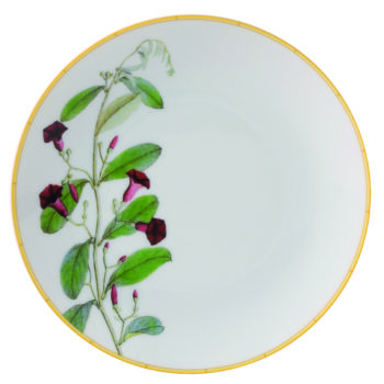 Bernardaud Jardin Indien Coupe bread & butter plate - 6.3"