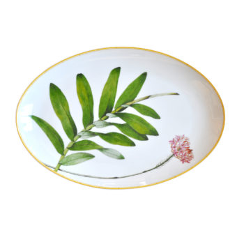 Bernardaud Jardin Indien Oval platter 15''L