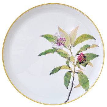 Bernardaud Jardin Indien Tart Platter