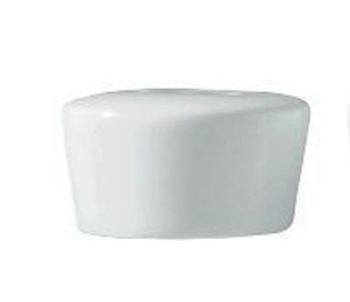 Raynaud Hommage by Thomas Keller Salt Shaker 2" D, 1" H