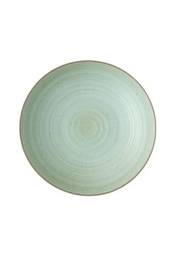Thomas by Rosenthal Nature Leaf Green Plate Deep 9 in