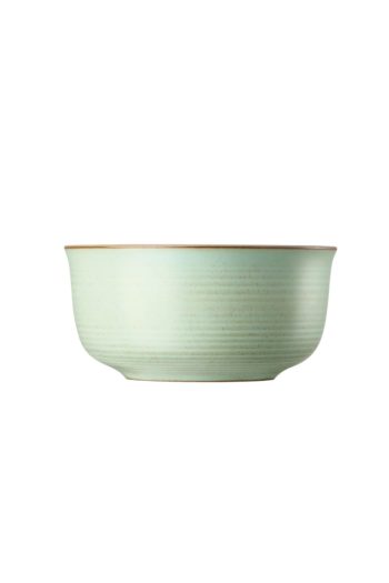 Thomas by Rosenthal Nature Leaf Green Cereal Bowl 6 in