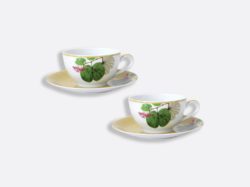 Bernardaud Jardin Indien Gift box set of 2 jumbo cups and saucers