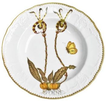 Anna Weatherley Orchids Rim Soup #1