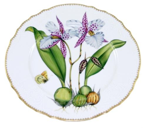 Anna Weatherley Orchids Dinner Plate #2