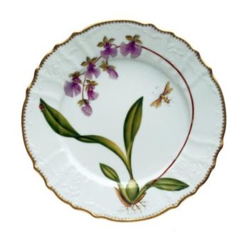 Anna Weatherley Orchids Dinner Plate #6
