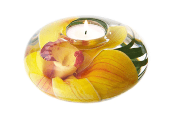Emilio Robba Yellow Cymbidium Medium T-Light