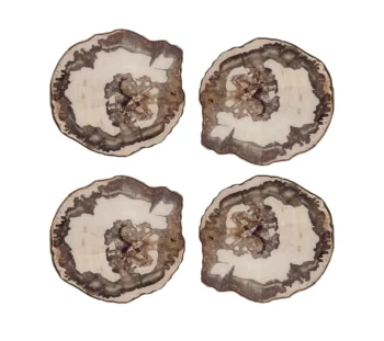 Kim Seybert Petrified Wood Coasters - Set of 4