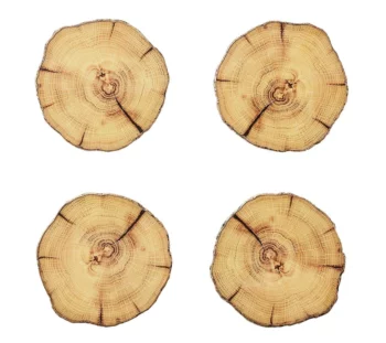 Kim Seybert Woodland Coasters - Set of 4