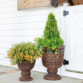 Juliska Devon Willow Urn - Medium - Image 3